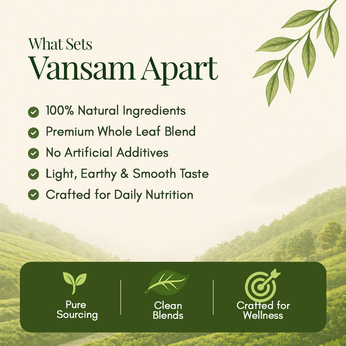 Vansam Tea – Chamomile Green Tea | Calming Herbal Blend for Relaxation & Better Sleep | 100% Natural Ingredients | Light Caffeine | 100gm Loose Leaf