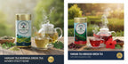 Moringa + Hibiscus ( 10% off )